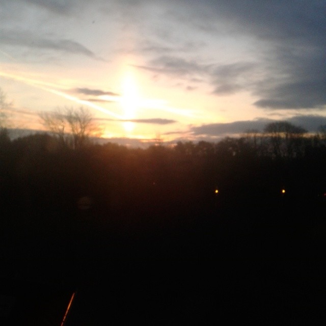 12832500_10153518986685698_6284486525866500011_n