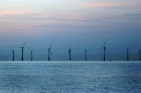 offshore-windfarms