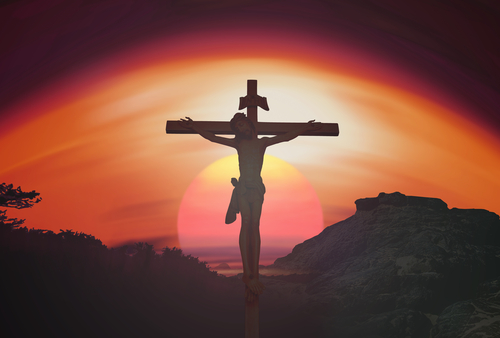 shutterstock_232986844