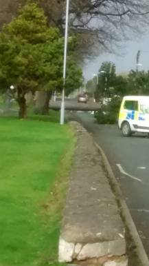 16832087_10212235902283178_442374629970635782_n