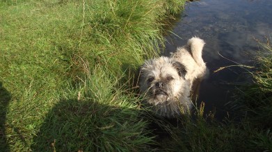 Llsnfairfechan and Ian's birthday 049