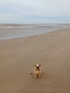 renly on the beach april 2020