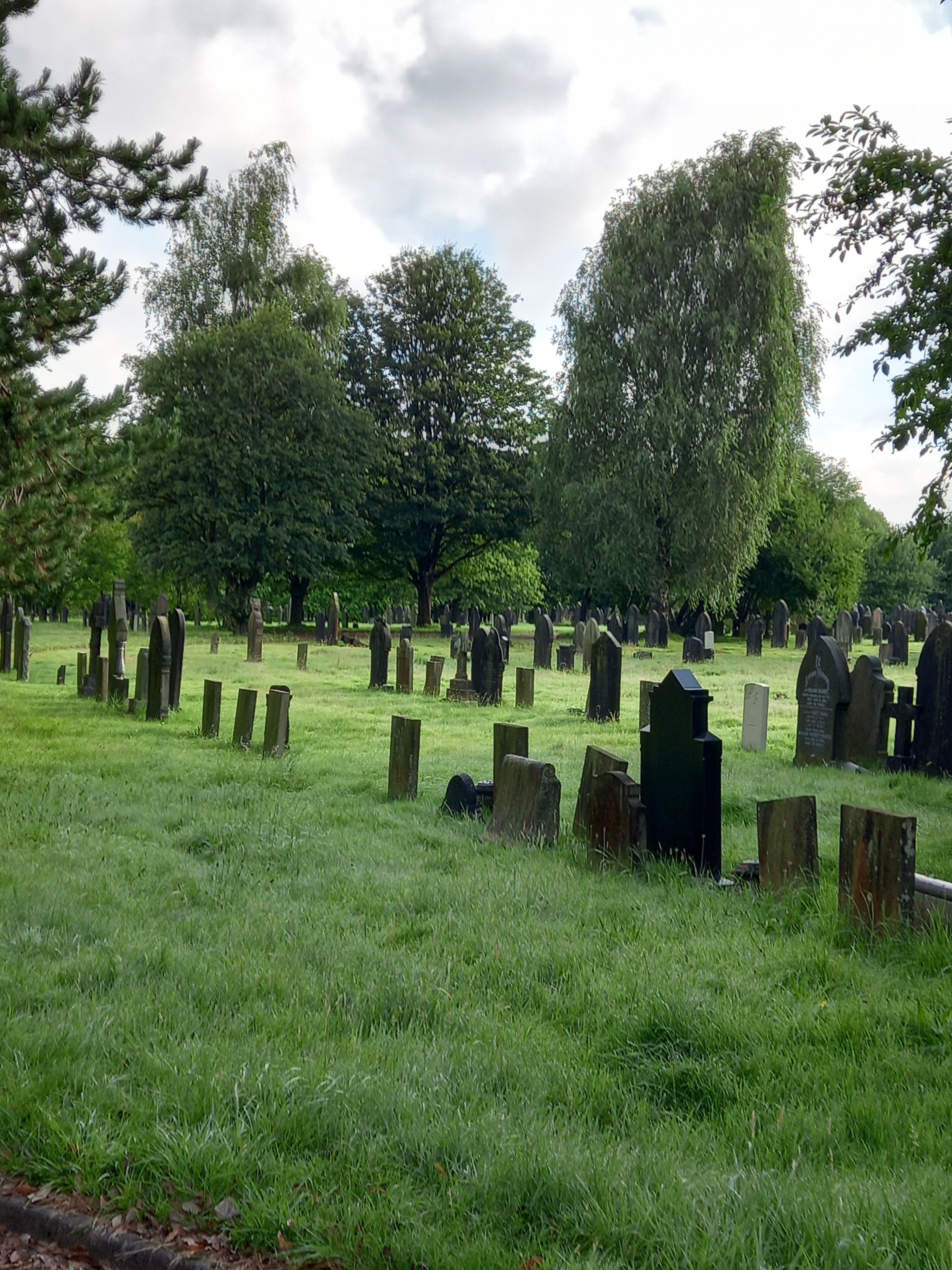 Photo of rows of Victorian grave stones taken by Diane Woodrow