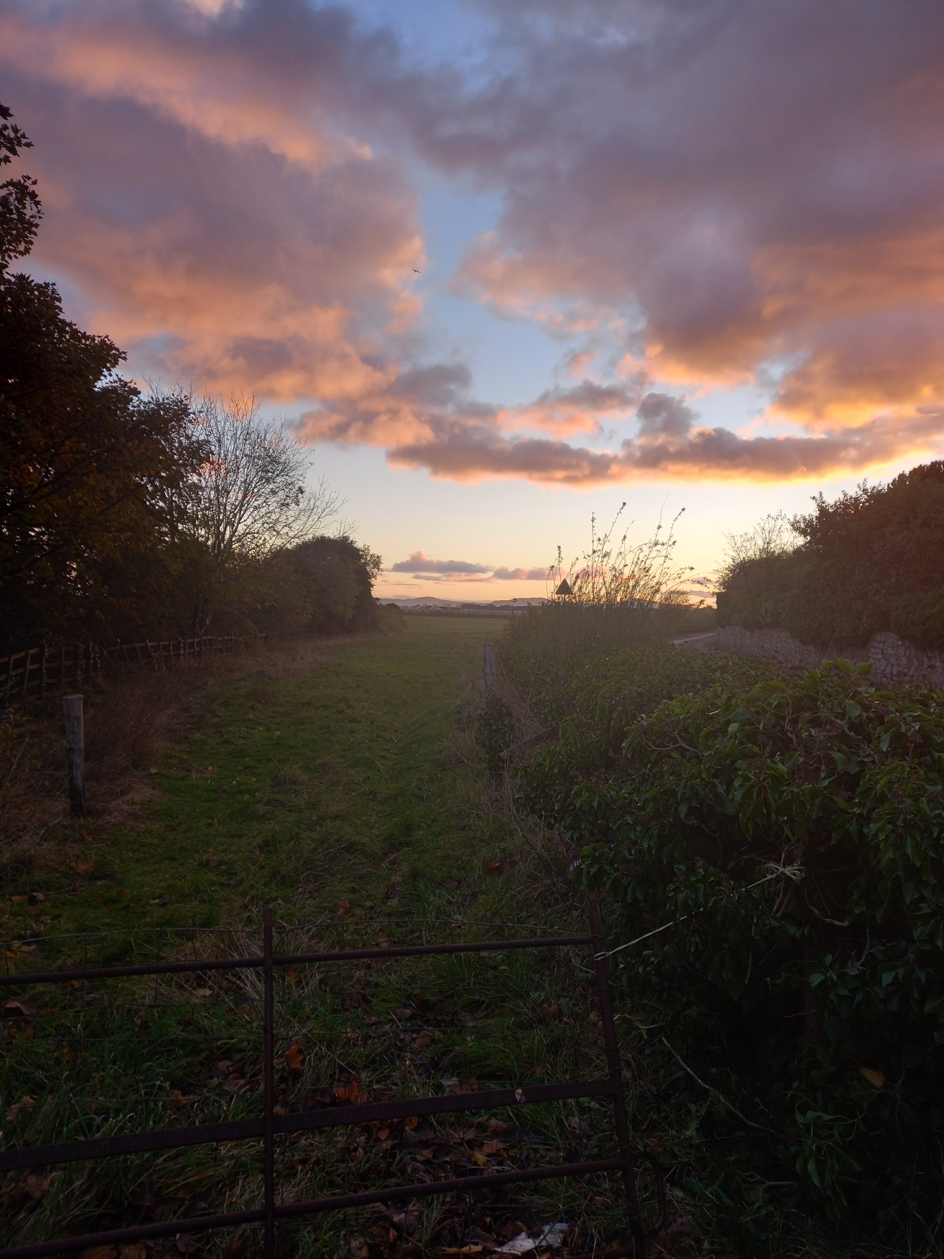 view of sunrise across a field photographed by Diane Woodrow