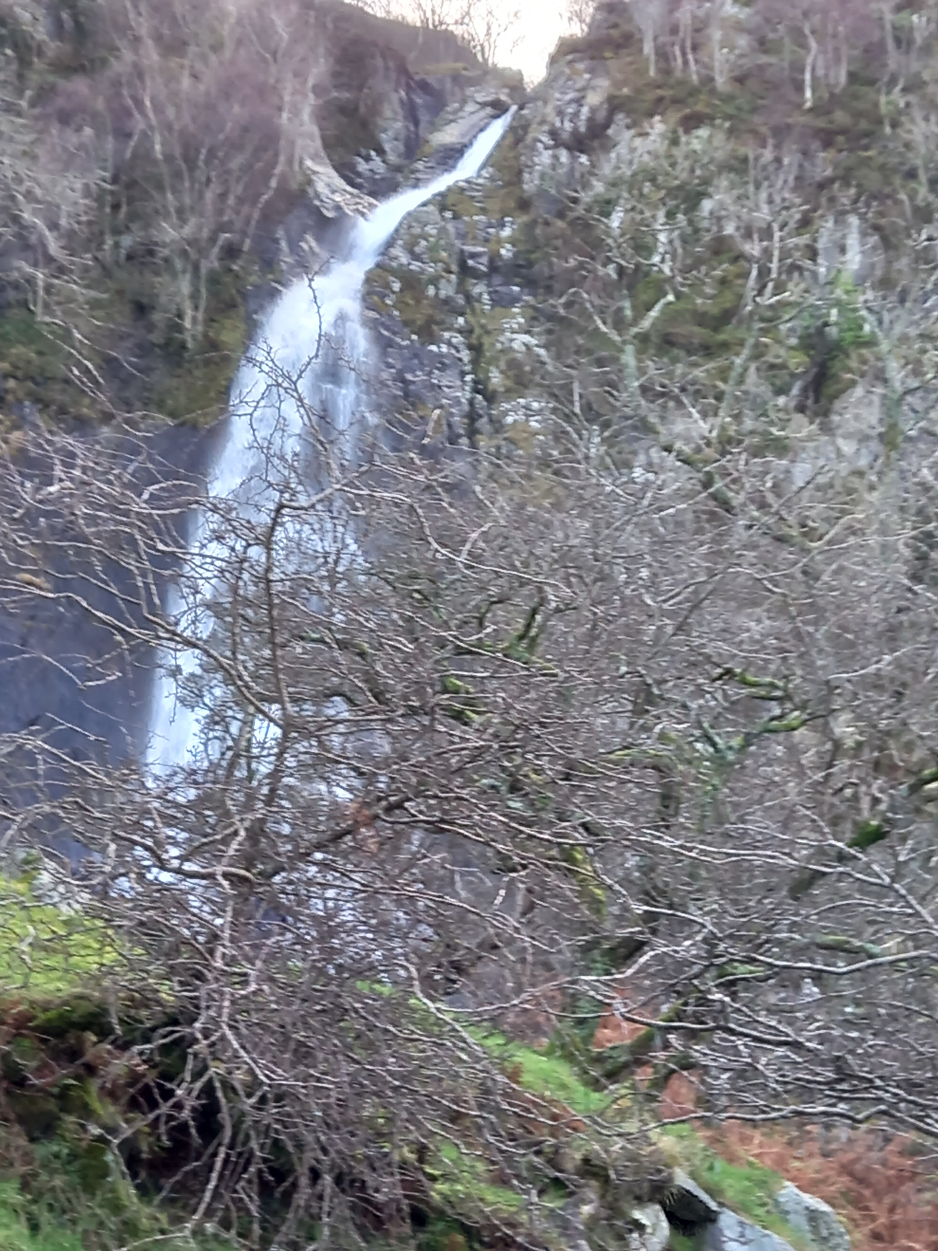 A bare tree with a waterfall behind it
photographed by Diane Woodrow