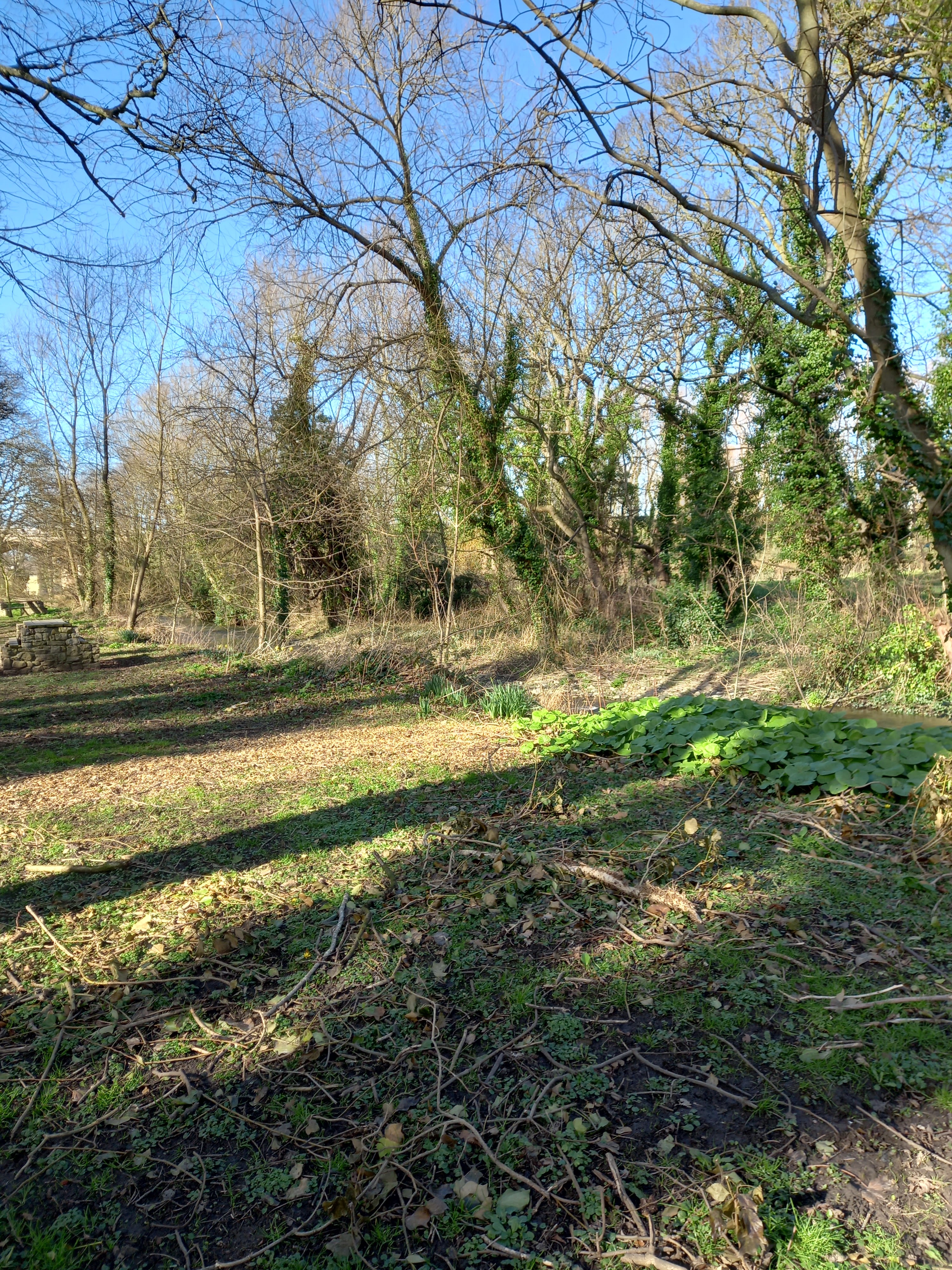 Photograph by Diane Woodrow