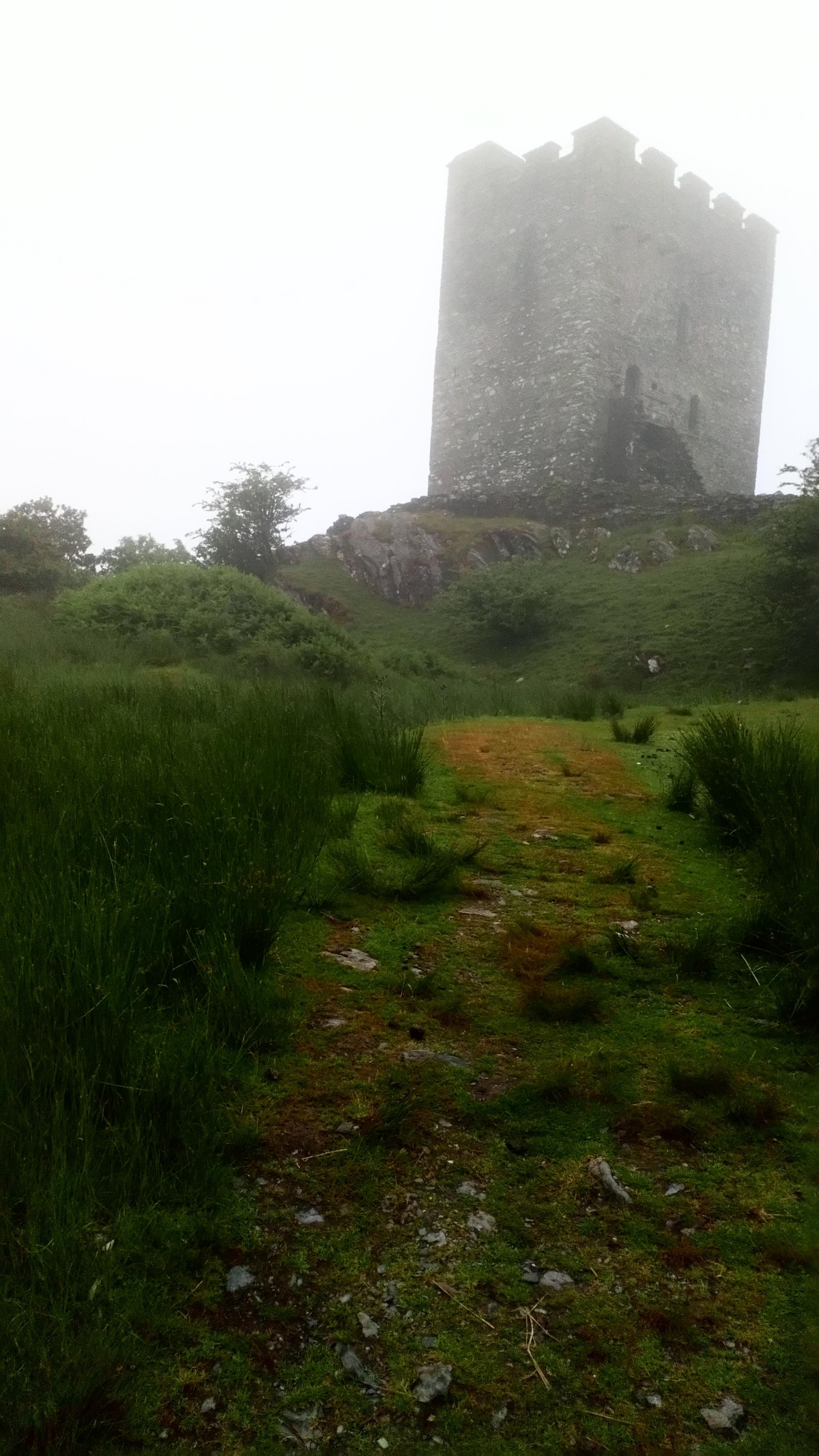 A castle in Gwynedd, North Wales, photographed on my husband's birthday in June 2018. Taken by Diane Woodrow